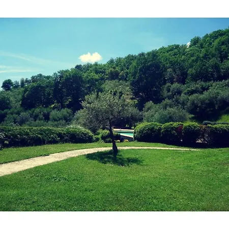 Noce, Mandorlo, Nespolo, Mora, Fragola * Valfabbrica