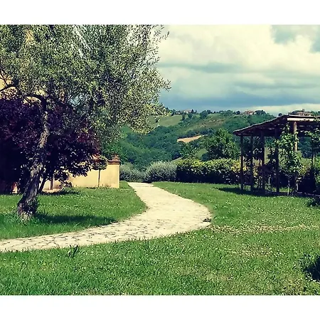Noce, Mandorlo, Nespolo, Mora, Fragola Valfabbrica