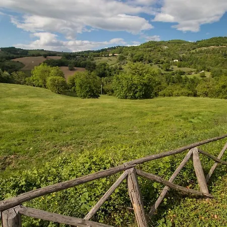 Noce, Mandorlo, Nespolo, Mora, Fragola *