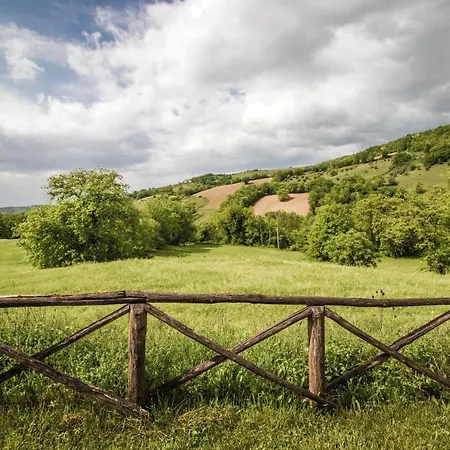Noce, Mandorlo, Nespolo, Mora, Fragola Appartement *